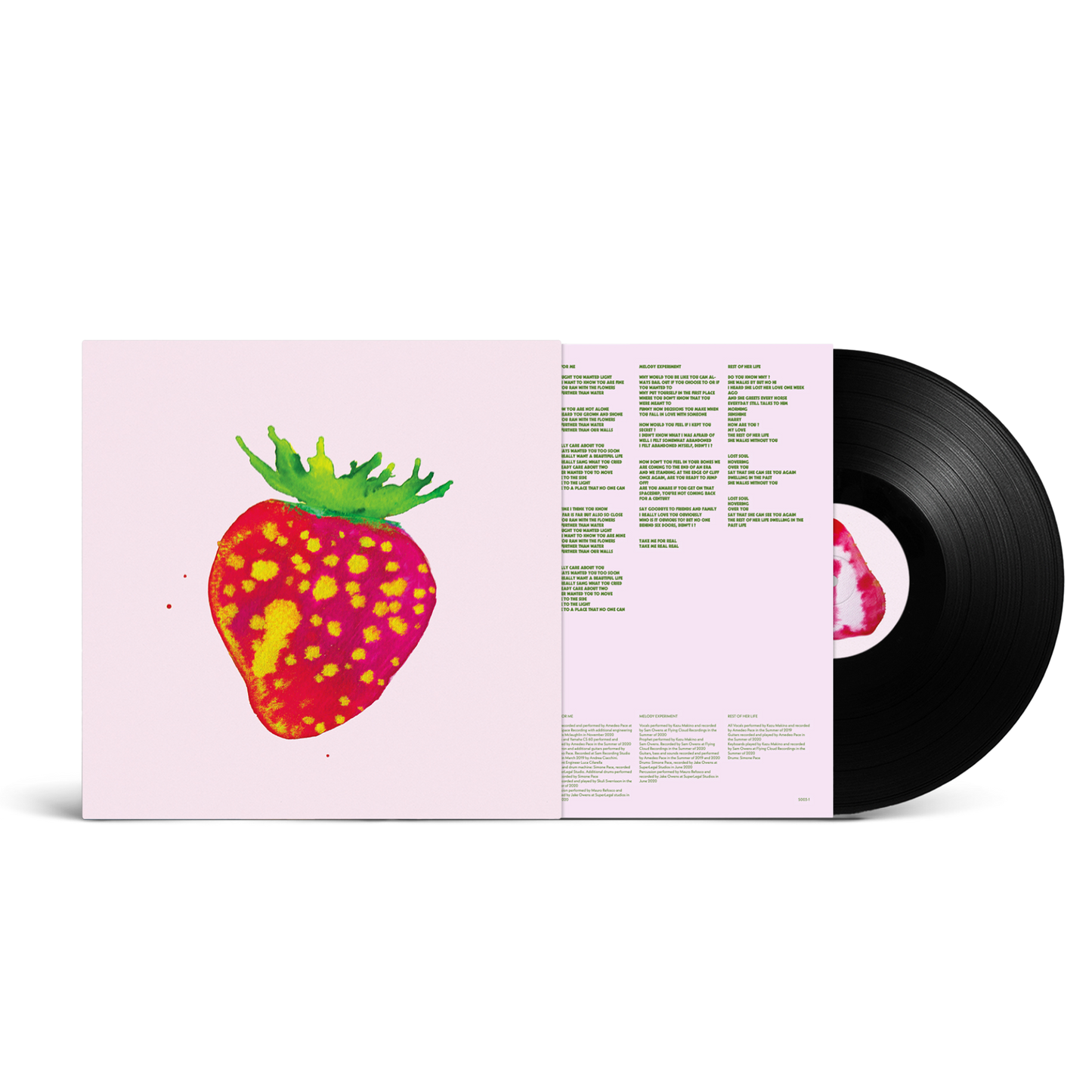 Blonde Redhead - Sit Down for Dinner LP